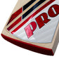 Protos Internatus